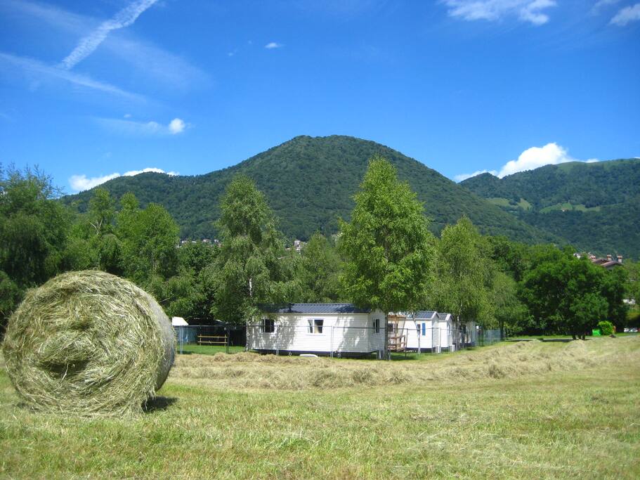 Suggestivo ambiente naturale