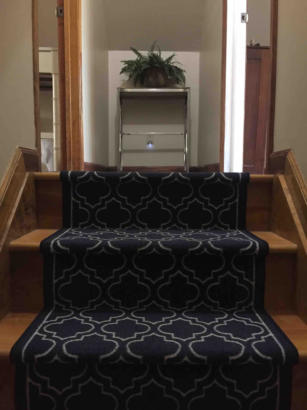 Sturdy wooden stairs are adorned with a patterned runner, leading to an upper level. A small plant sits on a sleek stand at the top of the stairs, flanked by two doors that provide access to additional areas of the guest suite.