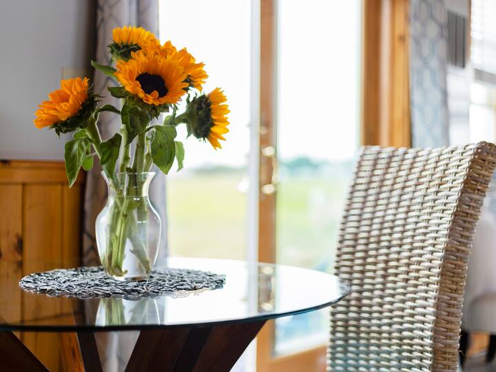 Duxbury Beach Vacation Rentals & Homes Duxbury, MA Airbnb