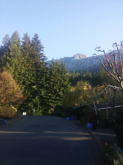 View from the neighborhood