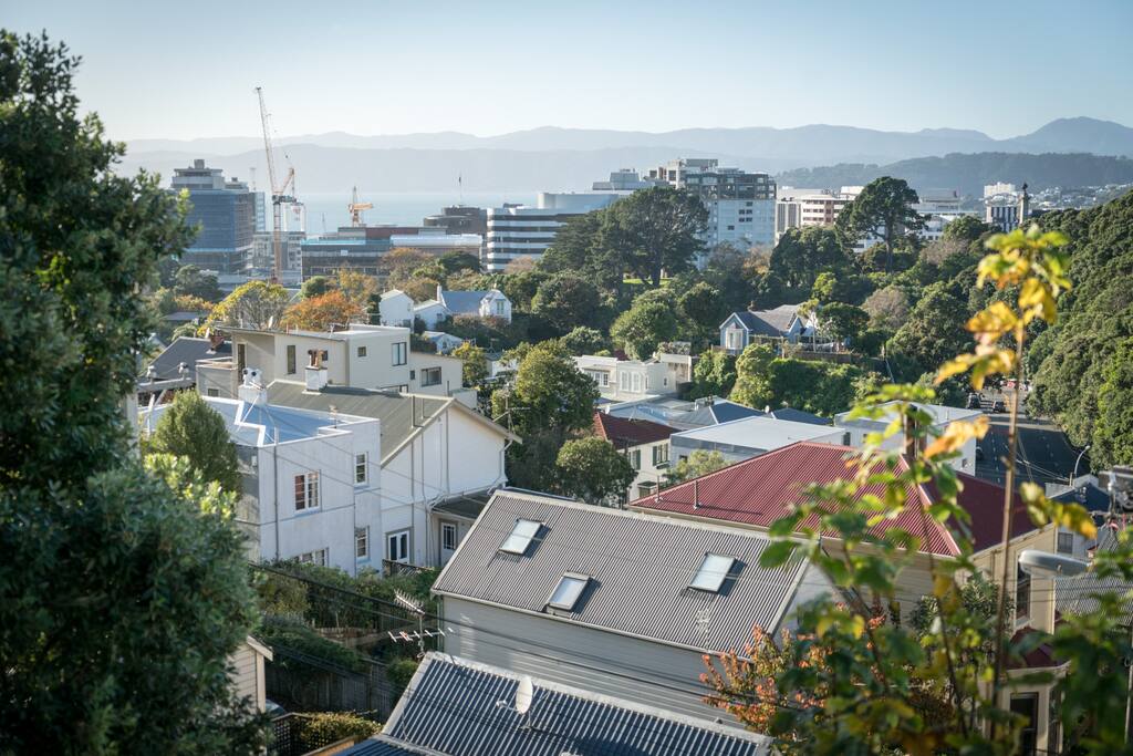 View from Studio