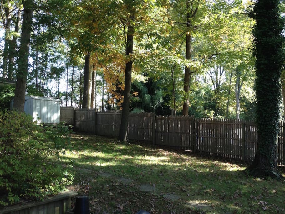 Backyard
