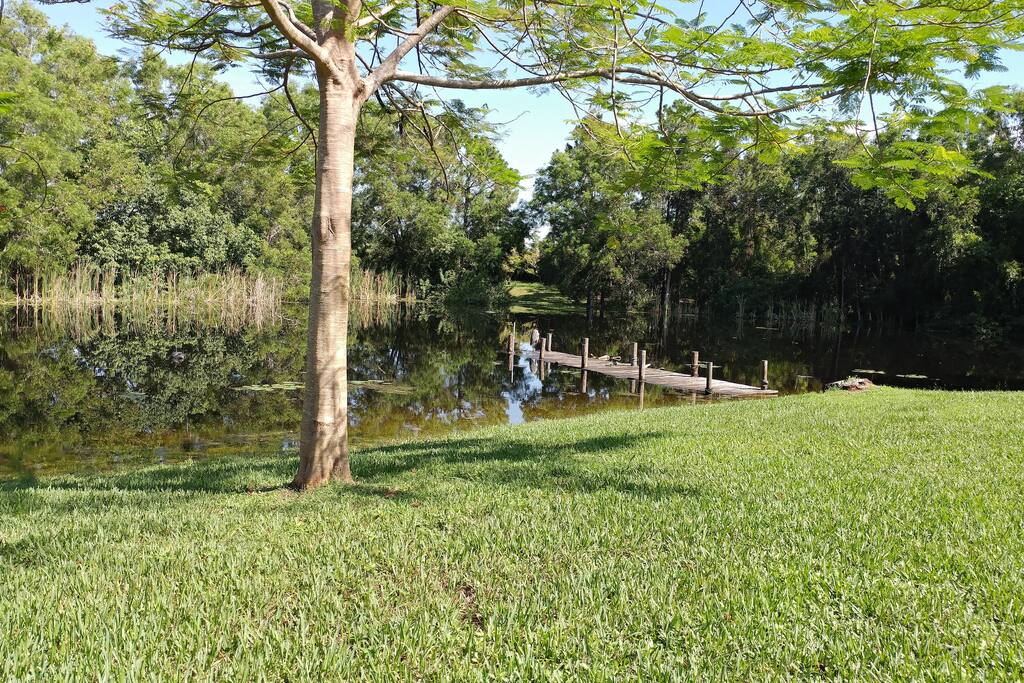 Pond
