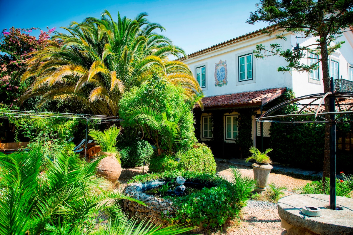 Lush greenery surrounds the traditional house, featuring a variety of palm trees and plants. A tranquil stone water feature sits at the center of the garden, complemented by scattered pebbles and ornamental pots. The house is adorned with decorative windows and a sloped tile roof.