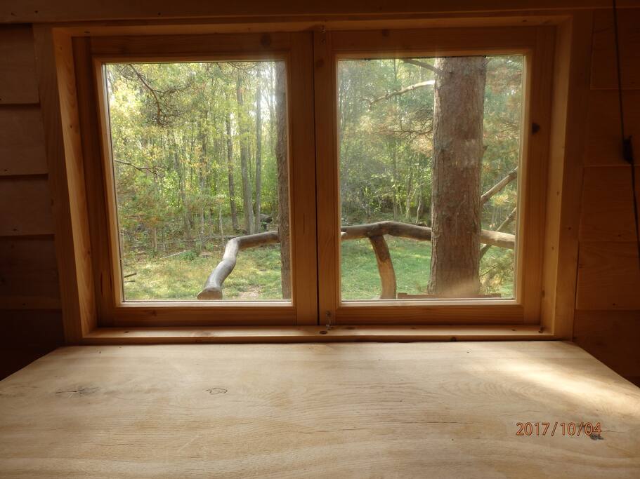 Blick über die Baumhausterrasse auf die Lichtung und den Wald