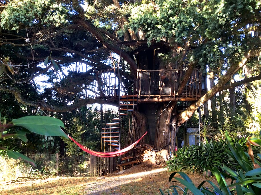 Treehouse in totara heaven