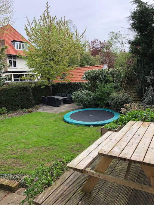 Garden back