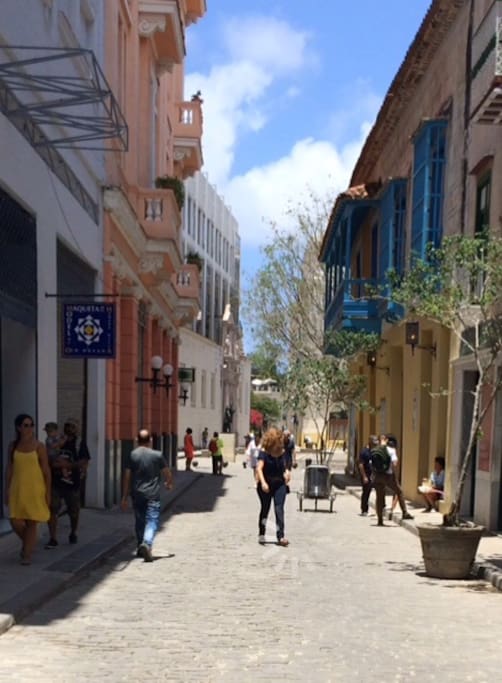 Ubicado en el mismo Casco histórico de La Habana Vieja. Los invitamos a disfrutar de una estancia familiar en Cuba ☀️☀️