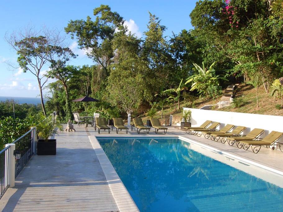 Palashia's pool