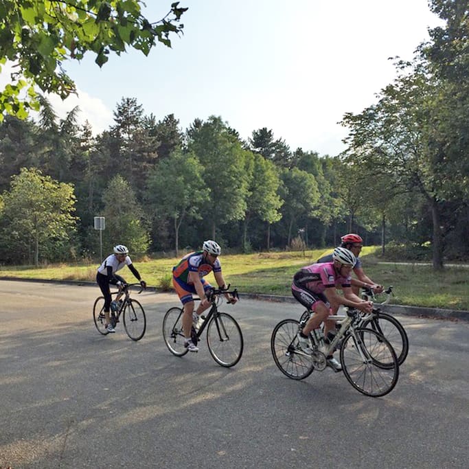 Photo of Bois de Vincennes