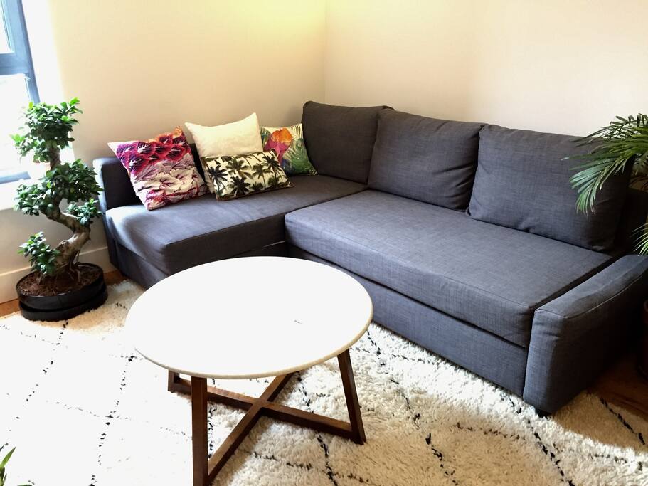 The sofa bed and living area