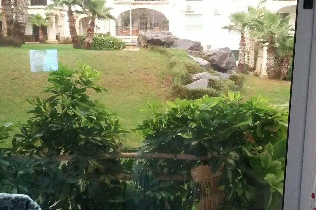 Terrasse vue sur jardin