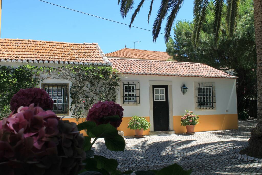 A nice and cosy cottage for your holidays!
