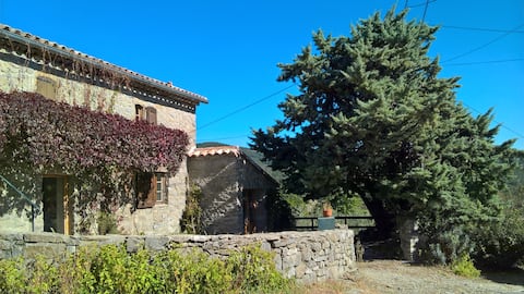 Authentic sheepfold in Cévennes