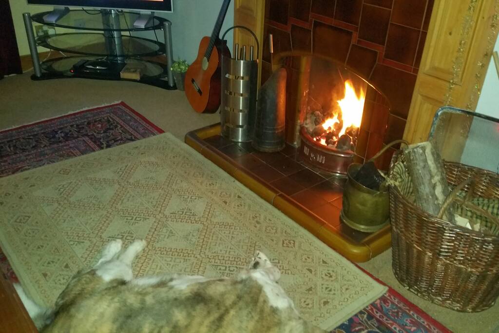Good behaved pets welcome