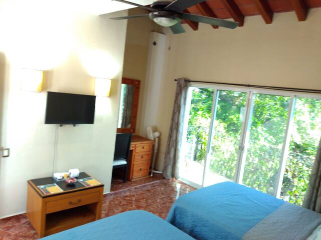 Casa de Ambrose Coa Room