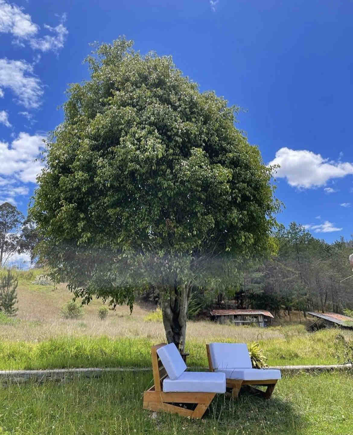 Two outdoor chairs are positioned beneath a large tree, surrounded by a grassy area. The bright blue sky is dotted with scattered clouds, providing a serene backdrop to the natural landscape. The scene invites relaxation and connection with the outdoors.