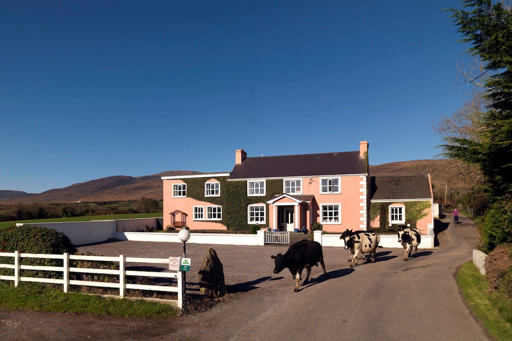 Murphy's farmhouse Bed & Breakfast Bed and breakfasts for Rent in