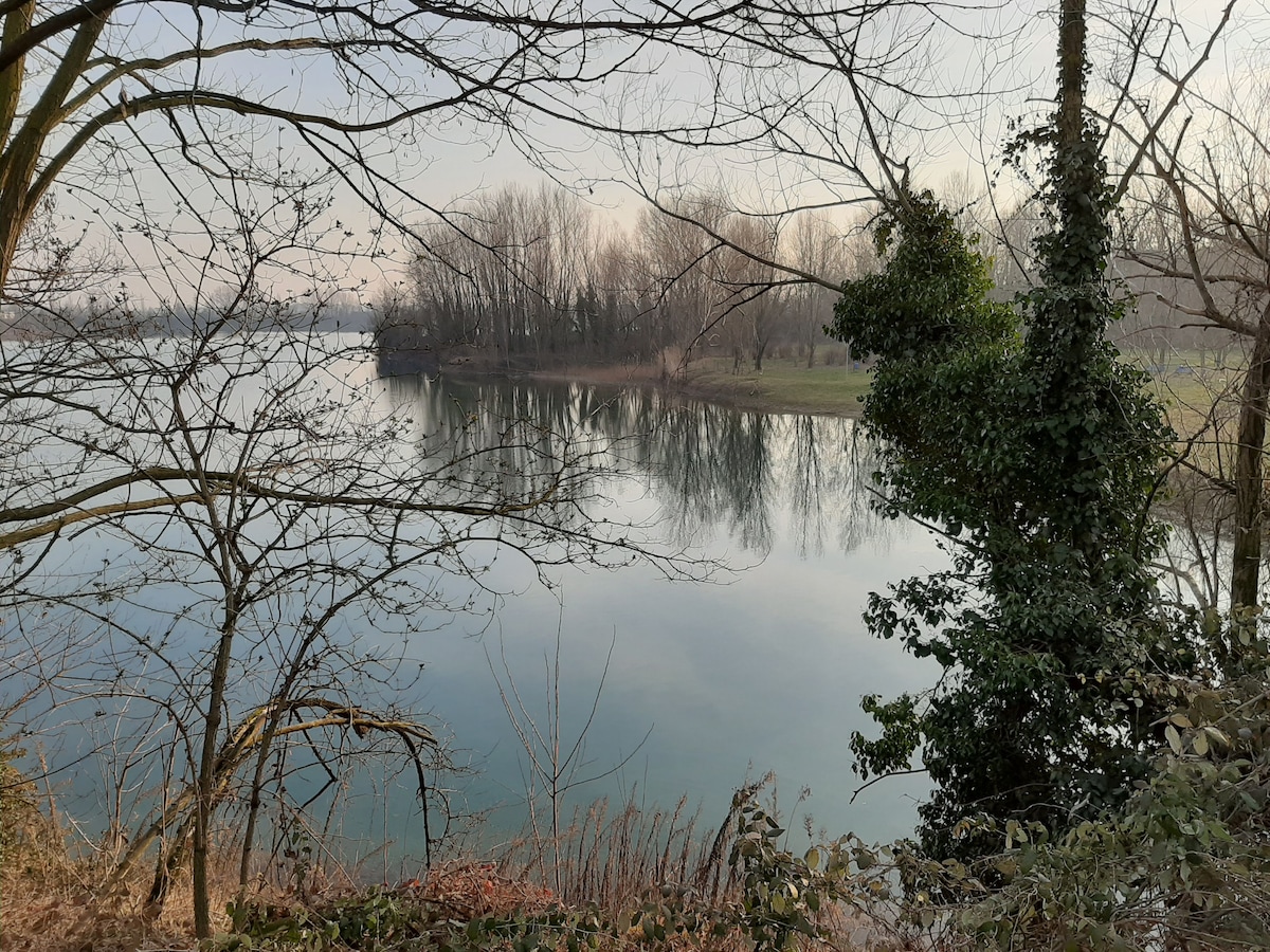 A serene view of a calm lake is framed by bare trees and lush greenery along its banks. The softly rippling water reflects the surrounding landscape, creating a peaceful atmosphere for those looking to enjoy nature.