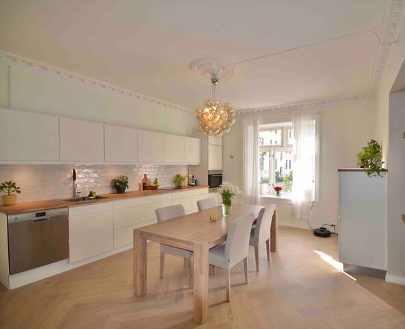 Spacious apartment in a quiet street at Majorstuen
