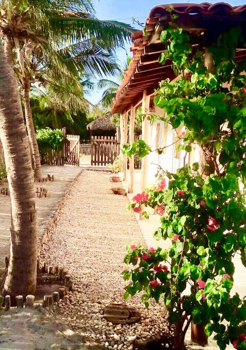Jardim