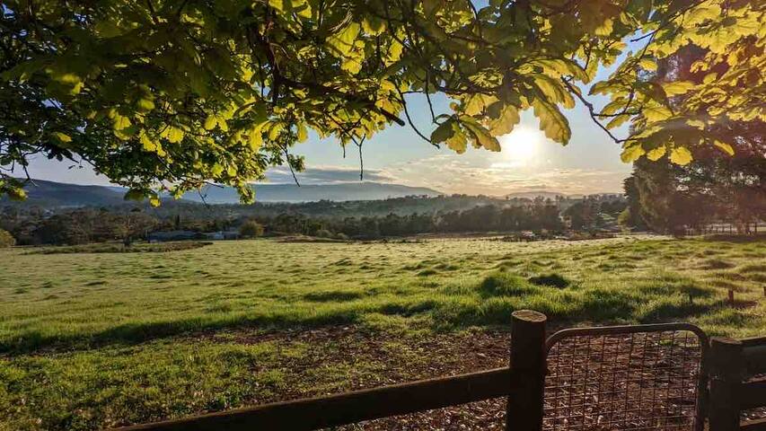Yarra Valley Views Homestead – with amazing views gallery image 2