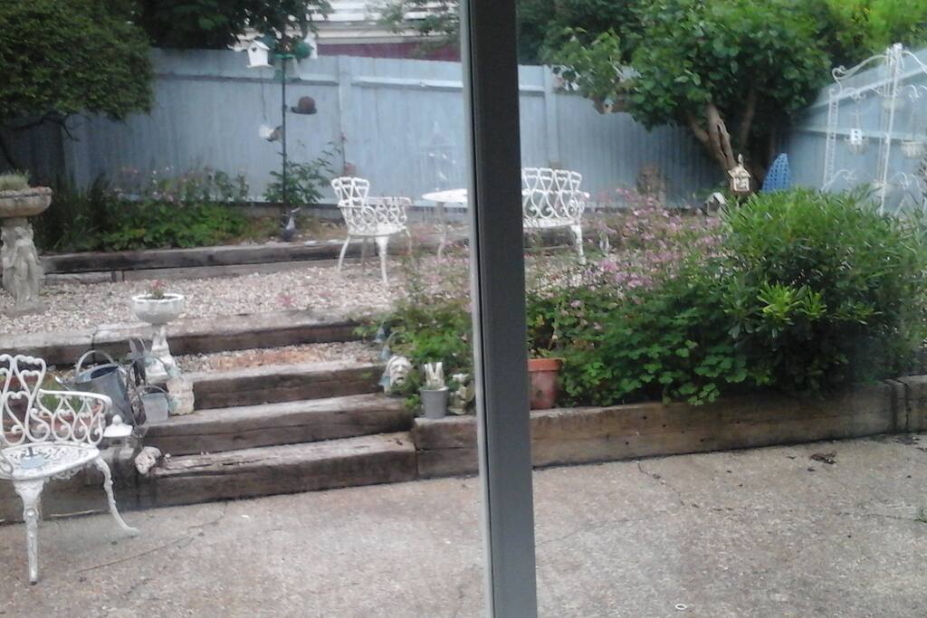 Back garden
