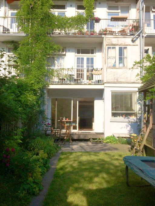 Garden