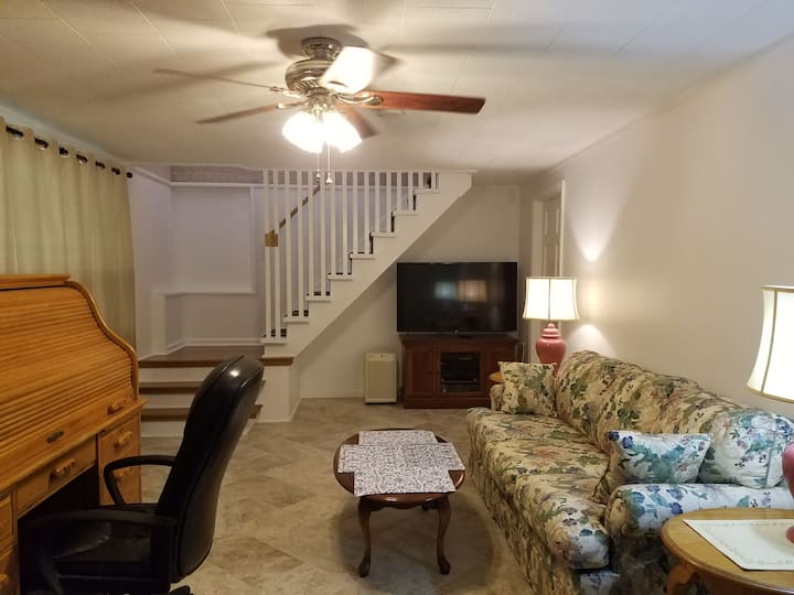 Living room area, seating, and a 55 inch roku TV.