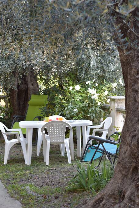 Jardin