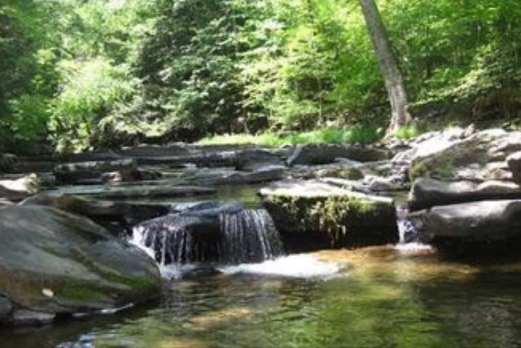 River in back of house