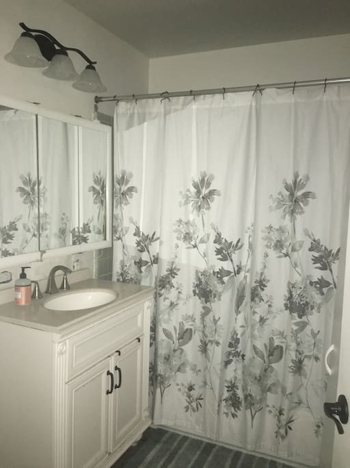 Bathroom has a large cabinet on right side of the wall for toiletries