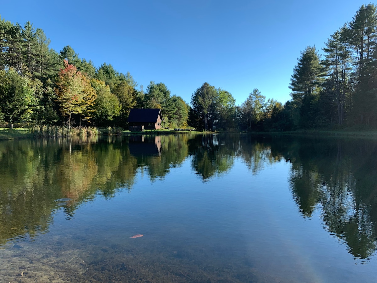A serene pond reflects the surrounding trees and a cozy log cabin nestled among them. The water is calm, showcasing clear views of the blue sky and vibrant foliage along the shoreline, creating a peaceful atmosphere.