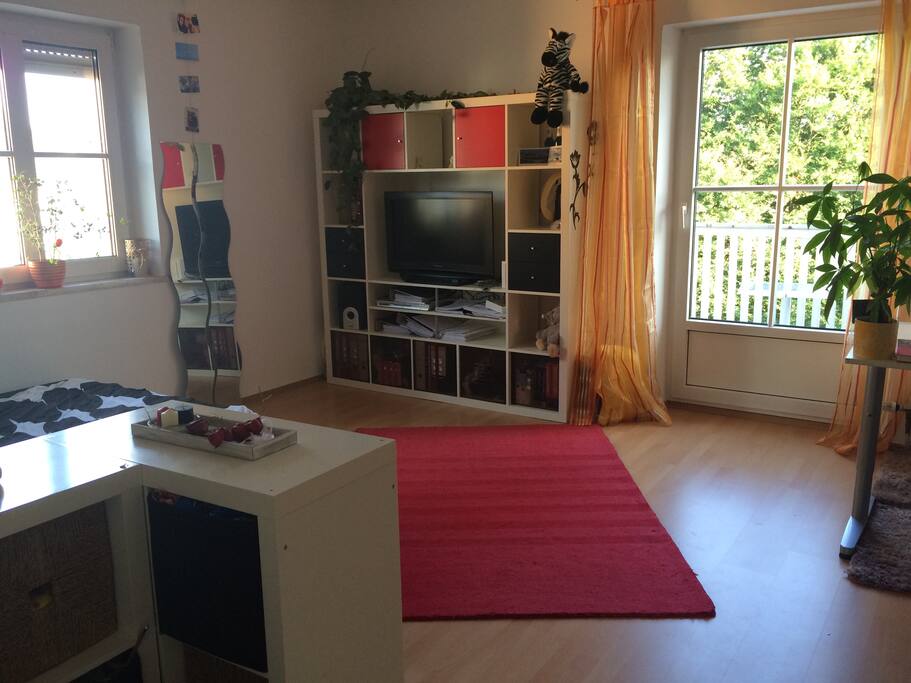 Fernseher leider nicht angeschlossen, aber DVD Player nutzbar :)