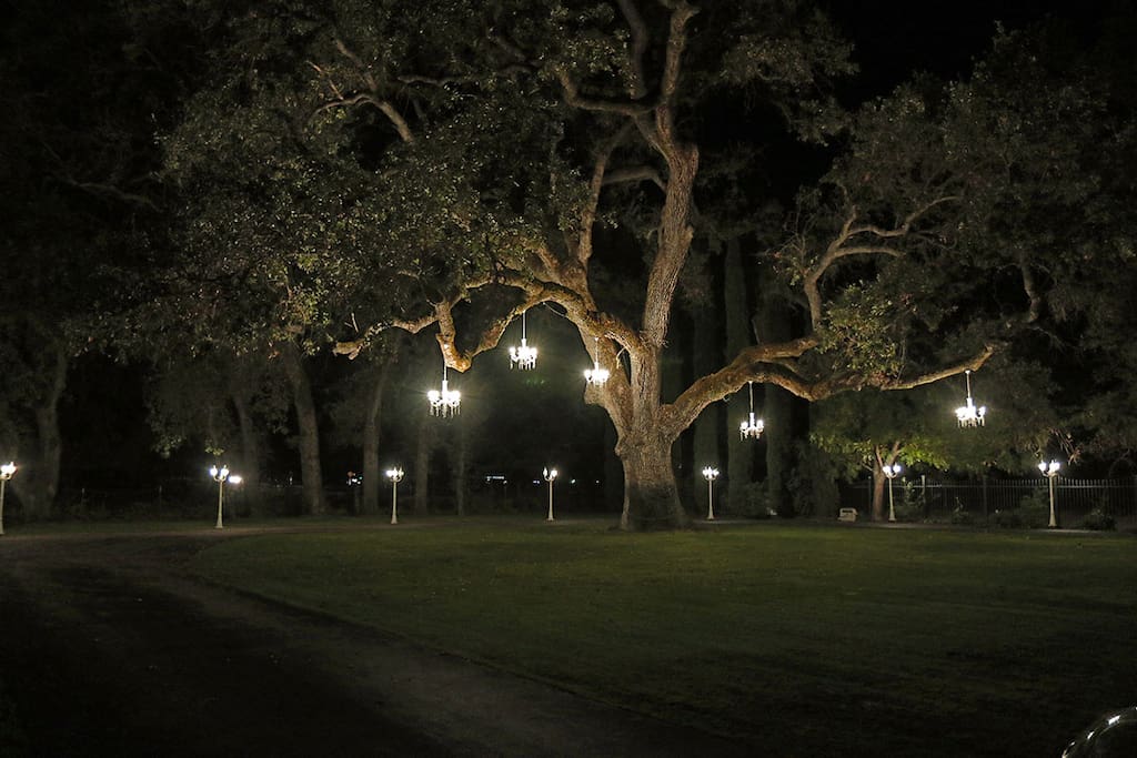 front lawn, gated area