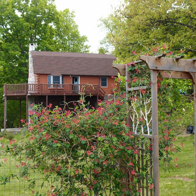 The house from the garden.