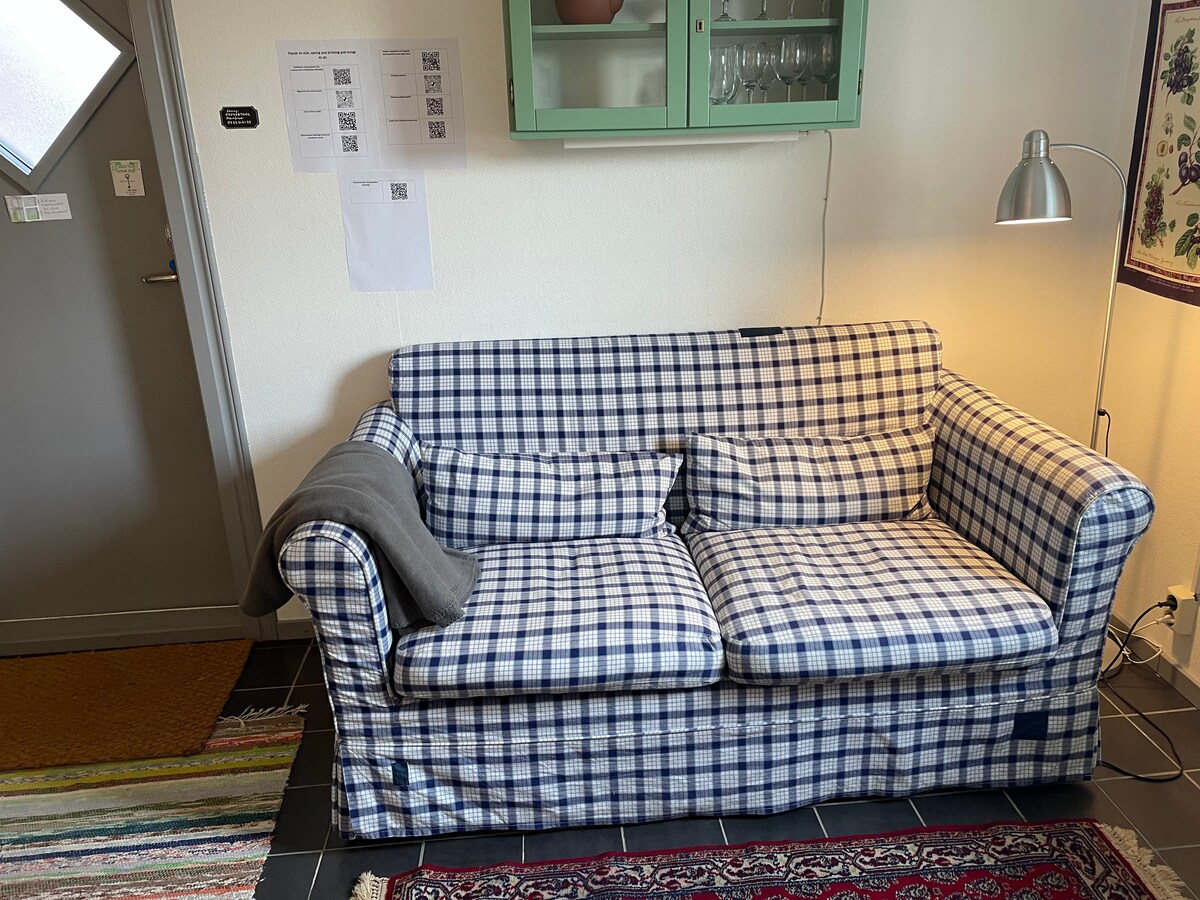 เตียงโซฟน่าเสียดายที่การนอนไม่สบายแต่คืนหนึ่งอาจจะไม่เป็นไร!