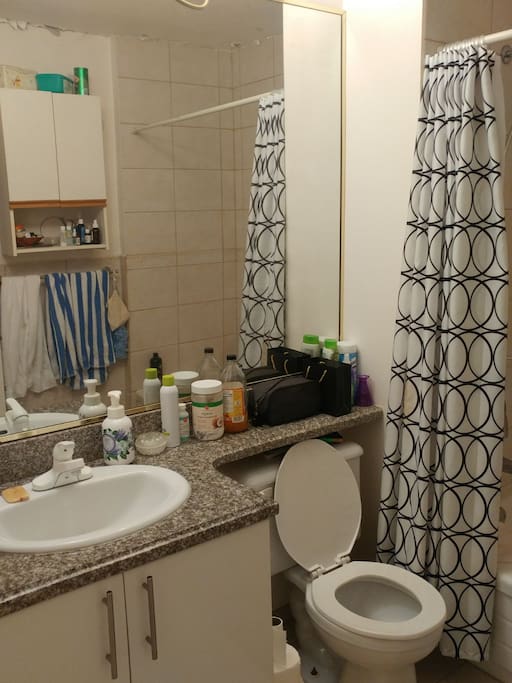 Toilet/Sink