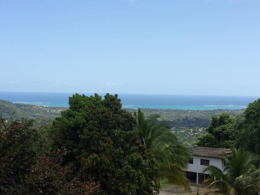 Panoramic view from the balcony
