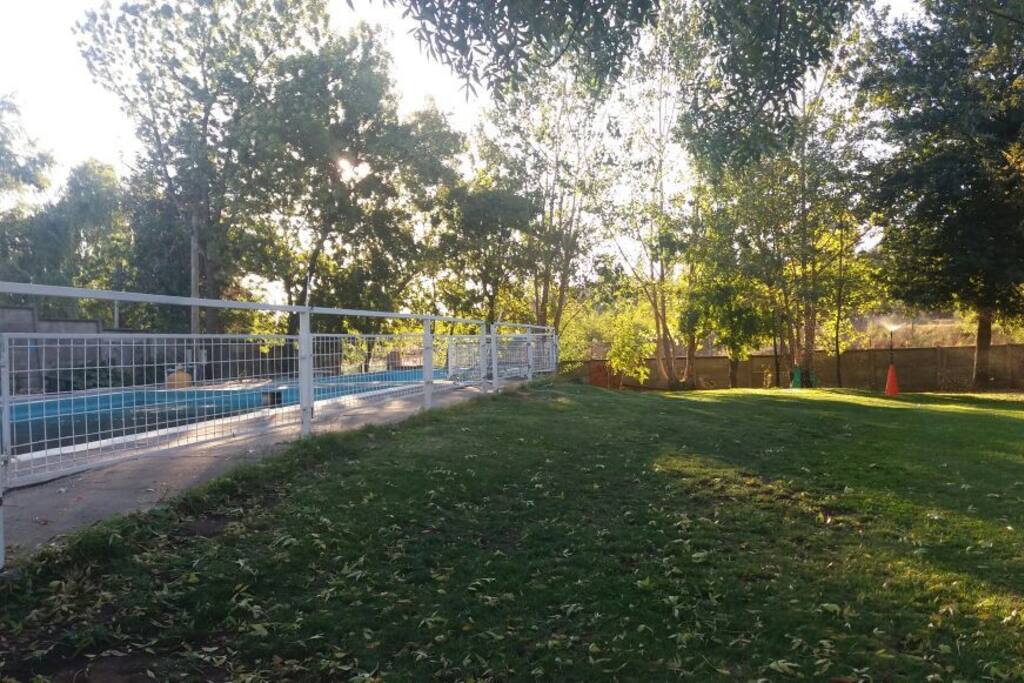 espacio ideal para niños y mascotas