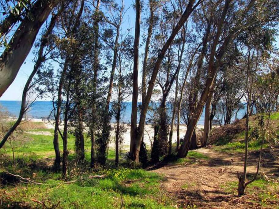 plage accès direct