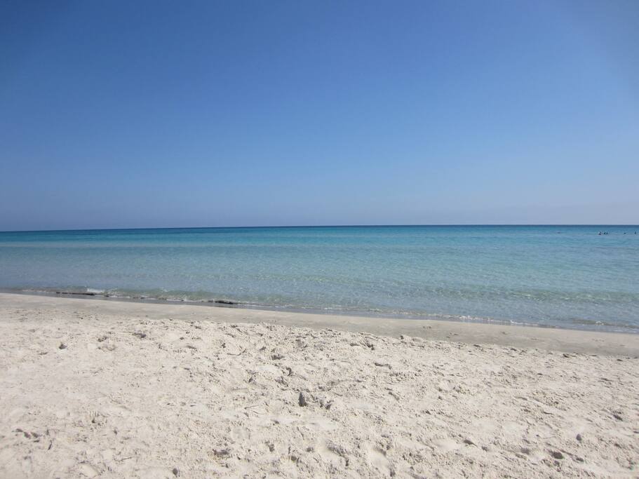 Plage d'Hammam Ghezaz à 5min