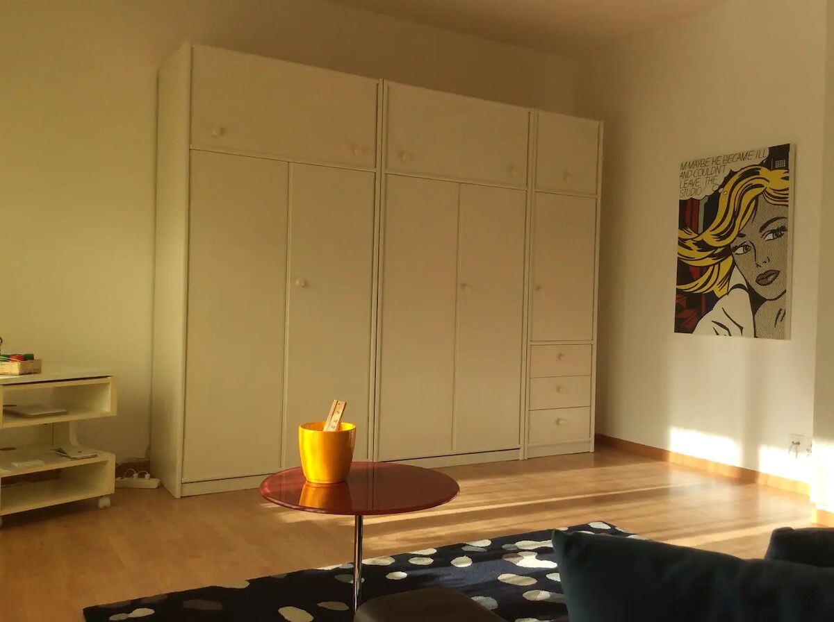 Top performing Airbnb: Lake Maggiore apartment in Ticino