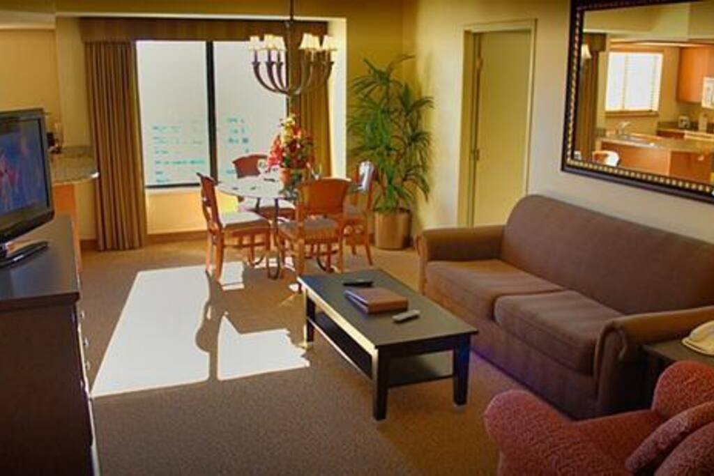 The living room area with sofa sleeper