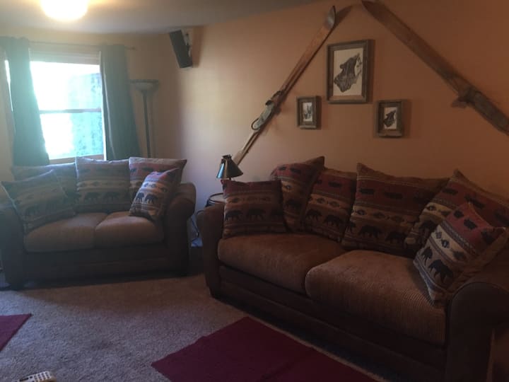 Cabin Apartment... River Front Views & Access - Glenwood Springs, CO