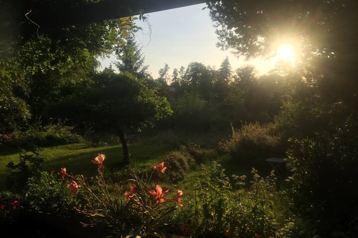 Peaceful oasis close to Copenhagen