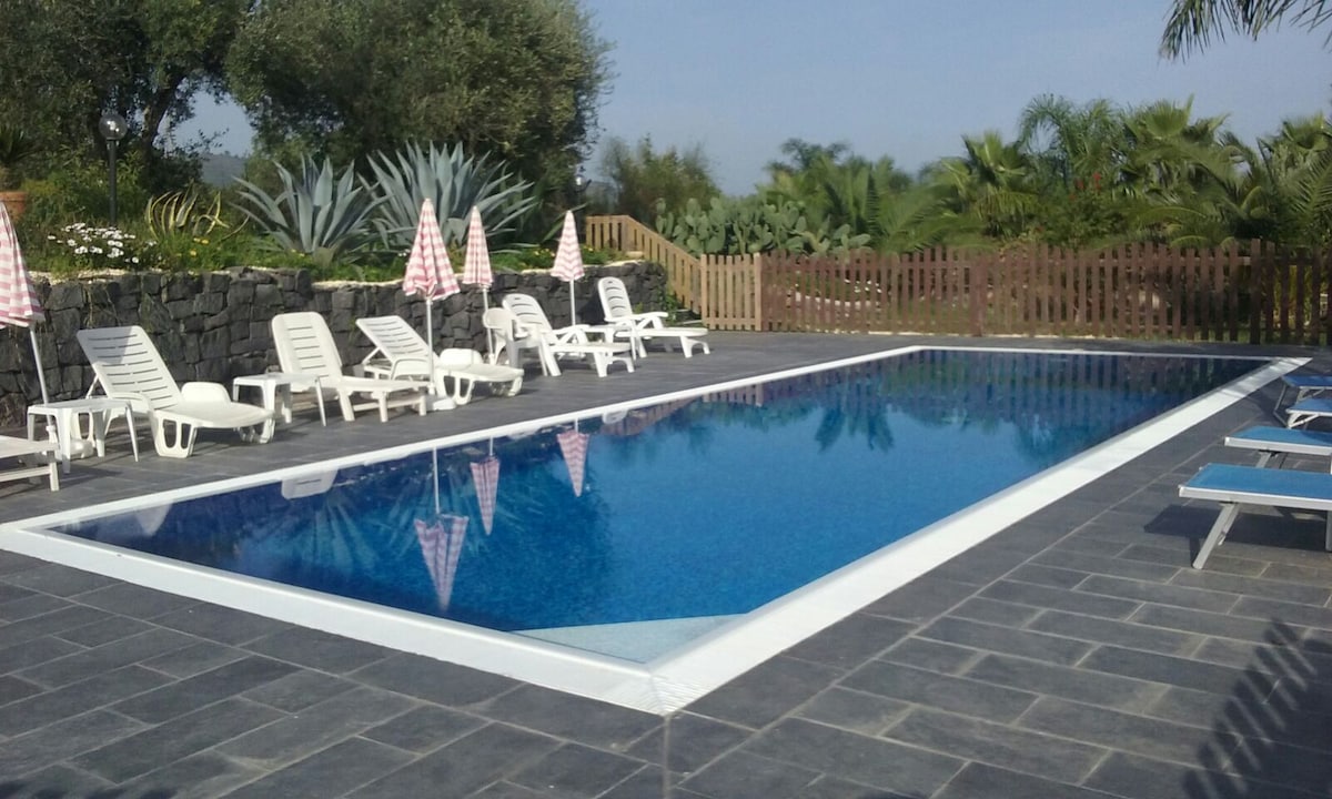 A rectangular swimming pool is framed by a sun terrace featuring several lounge chairs. Colorful umbrellas provide shade, while lush greenery and palm trees surround the area. The clear blue water reflects the sky, inviting relaxation.