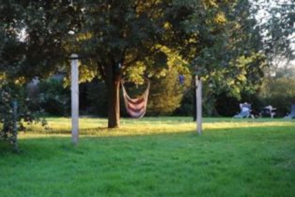 De tuin
