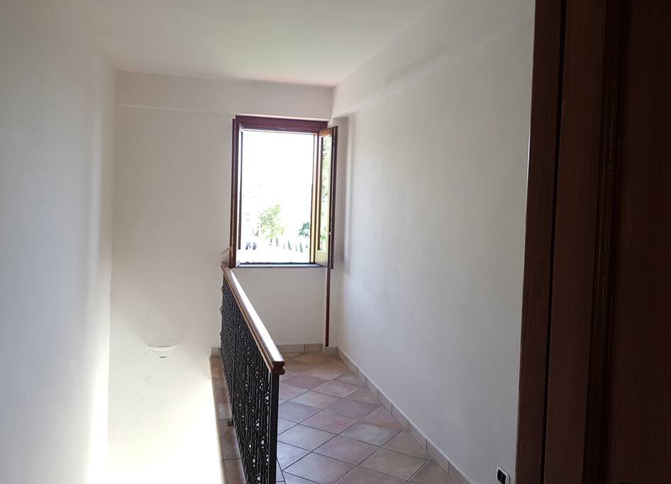 ingresso scale