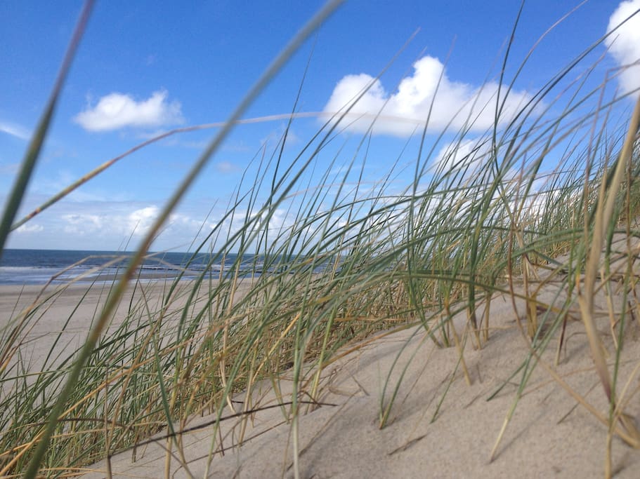 Strand bij de camping
